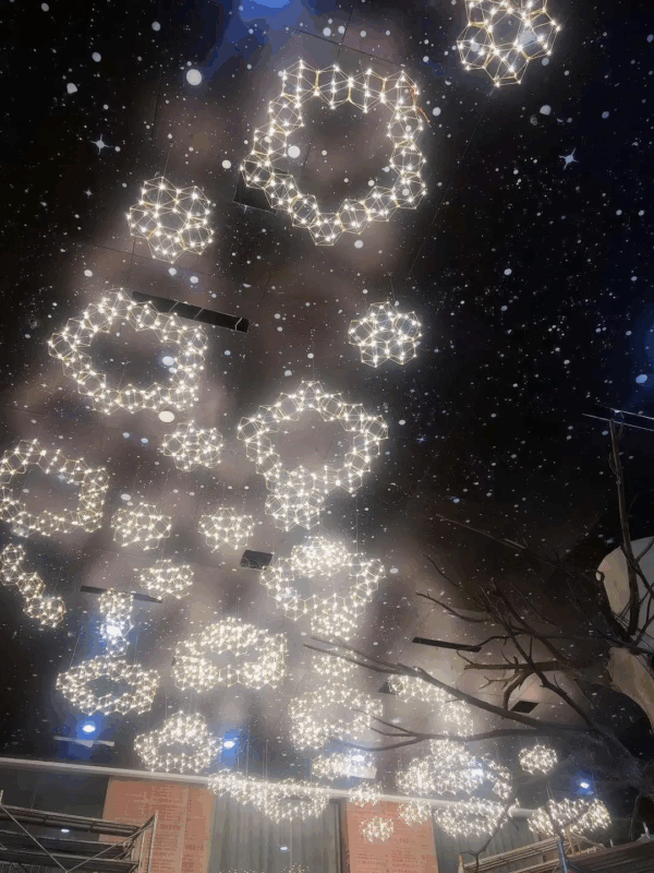 decorative light supplier
